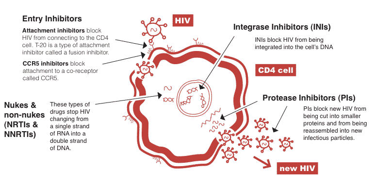 HIV-lääkityksen hyökkäyskohta